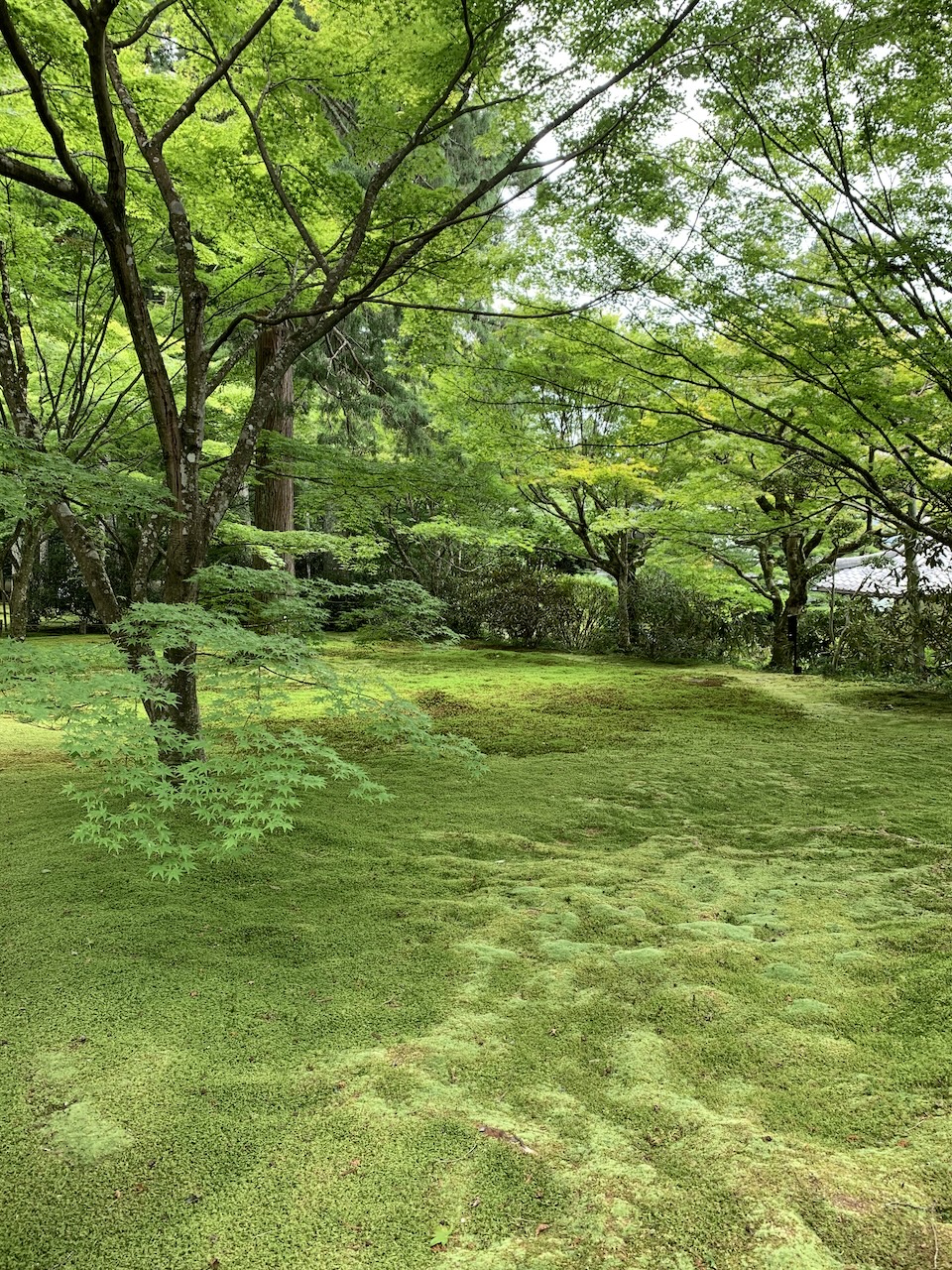 Saihō-ji 西芳寺